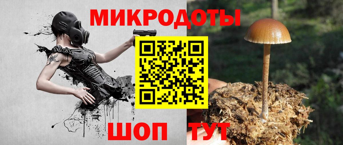 Галлюциногенные грибы GOLDEN TEACHER Новодвинск