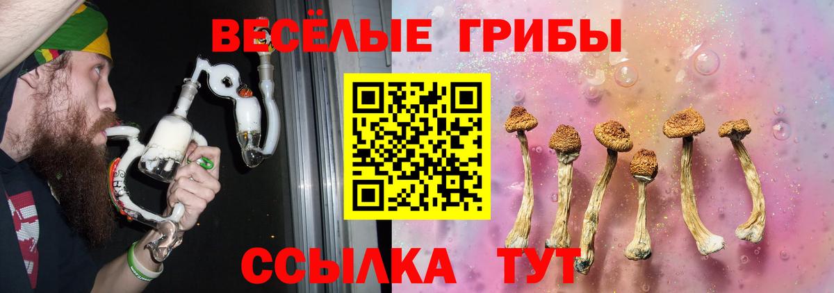 Галлюциногенные грибы GOLDEN TEACHER  Вход с VPN  сколько стоит  Новодвинск 